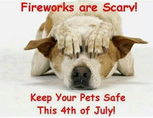 safe-pets-4th-of-july
